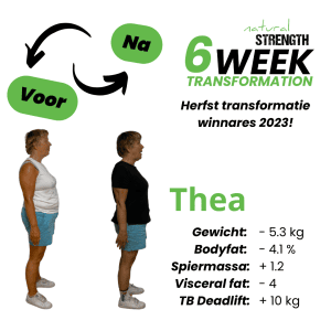 Transformatie Thea